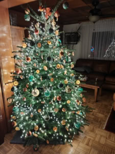 Sapin 2024